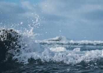 Jūra | KU Jūros tyrimų instituto nuotr.