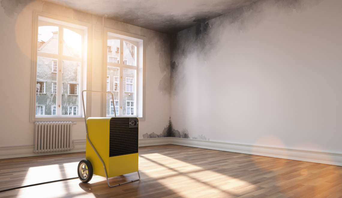 Kokias sveikatos problemas gali sukelti nuolatinė drėgmė namuose? | canva.lt nuotr.