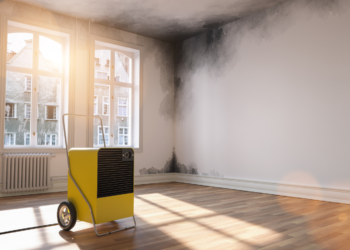 Kokias sveikatos problemas gali sukelti nuolatinė drėgmė namuose? | canva.lt nuotr.