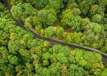 Gatvė | kaunas.lt nuotr.