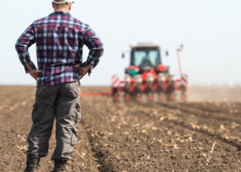 Dirbama žemė | Asociatyvi nuotr.