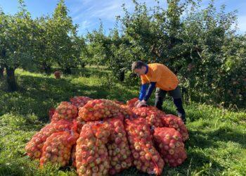 „Maisto banko“ nuotr.