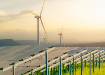 Tvarios įmonės – kaip jas atpažinti| canva.com nuotr,