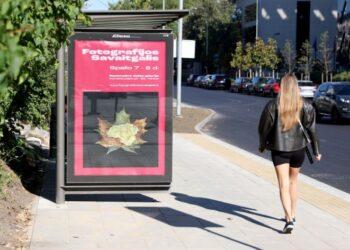 150 fotografijos stotelių kviečia sustoti ir atrasti Lietuvos fotomenininkų kūrinius | lzs.lt nuotr.