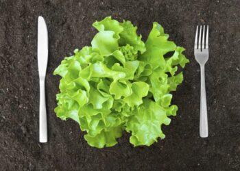 Ekologiškas maistas | „Shutterstock“ nuotr.