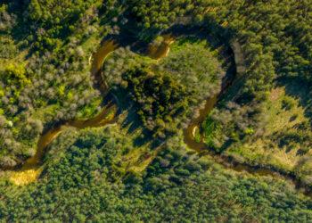 Ką saugojo mūsų protėviai? Naujų leidinių pristatymas | vstt.lrv.lt nuotr.