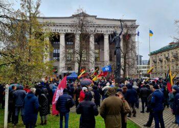 Mitingas |Alkas.lt Arūno Sartanavičiaus nuotr.