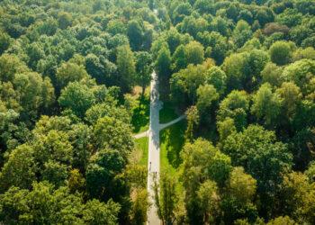 Kauno Ąžuolynas | kaunas.lt nuotr.