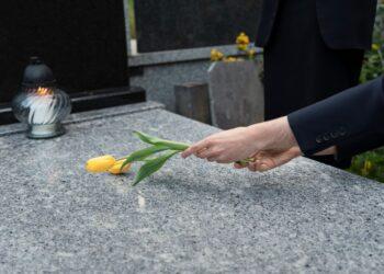 Kapų tvarkymo paslaugos | freepik.com nuotr.