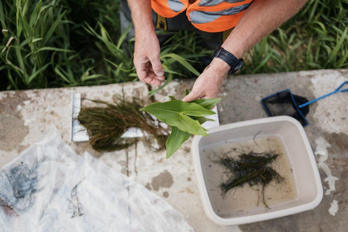 Neries tyrimas | darnugroup.lt nuotr.