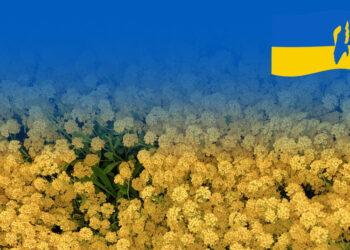 Pagalba Ukrainai | lrv.lt nuotr.