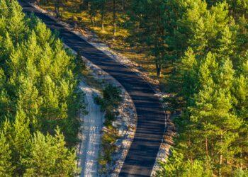 Takas Smiltynė-Nida | lakd.lt nuotr.