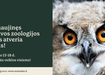 Atsinaujinęs Lietuvos zoologijos sodas jau kviečia lankytojus | Lietuvos zoologijos sodo nuotr.