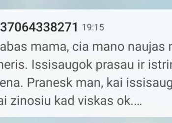 Sukčių žinutė | telia.lt nuotr.
