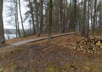 Takas prie ežero | S. Žiūros nuotr.