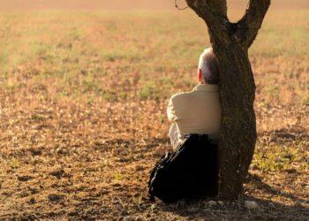 pixabay.com, josealbafotos nuotr.