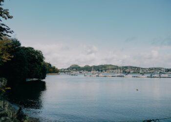 Pexels.com, L. Fotios nuotr.