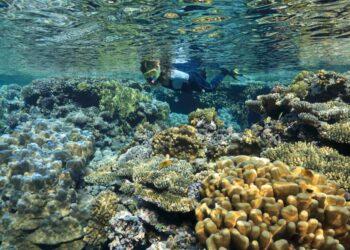 Nardymas | Shutterstock.com nuotr.