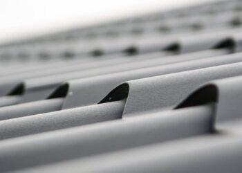 Čerpės | pexels.com nuotr.