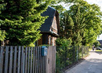 Medžiai | vilnius.lt nuotr.