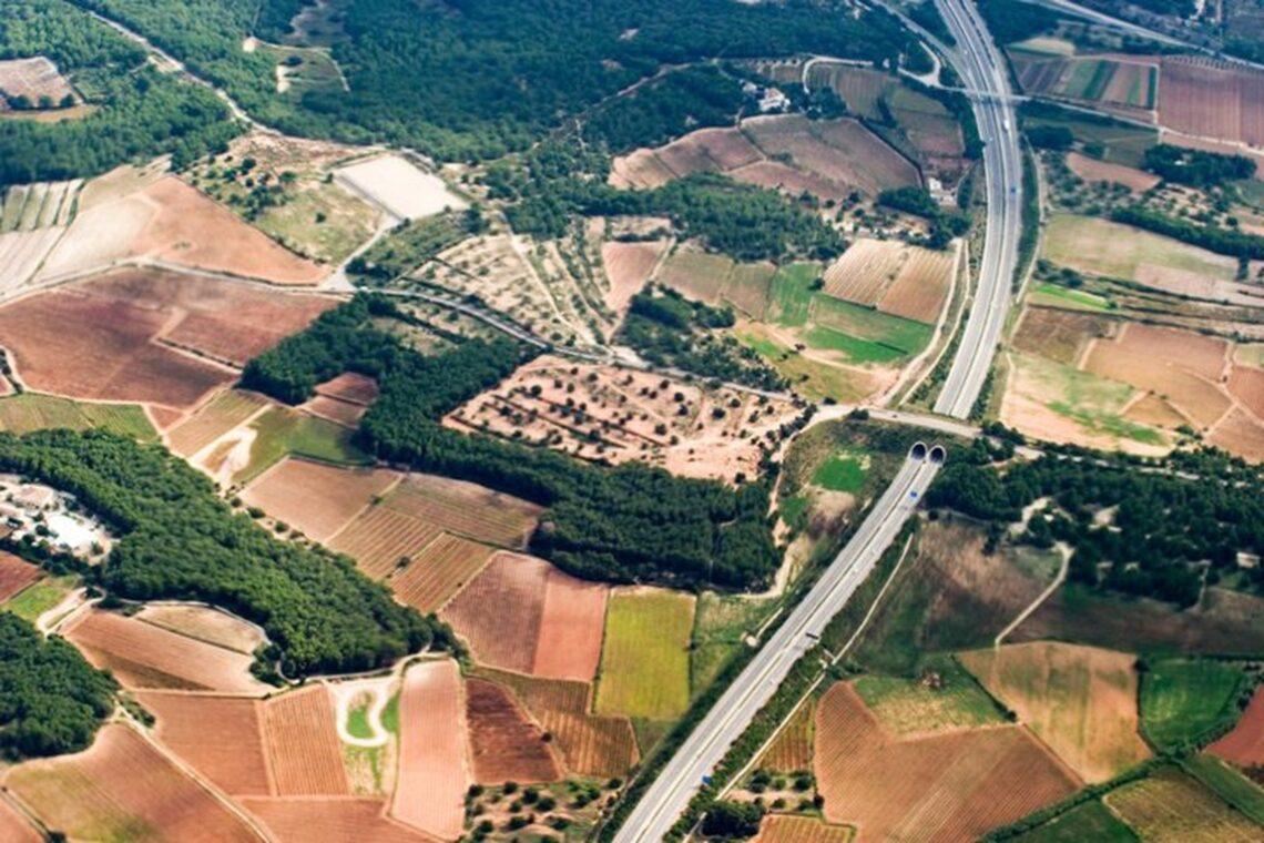 Valstybinė žemė | am.lt nuotr.