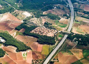 Valstybinė žemė | am.lt nuotr.