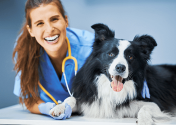 Veterinarijos žinovai | freepik.com nuotr.