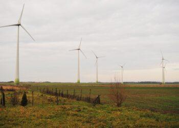 Nustatyti bruožai, kaip sumažinti vėjo elektrinių neigiamą poveikį paukščiams | am.lrv.lt nuotr.