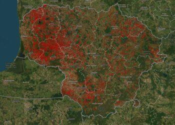 Suartų pievų žemėlapis 2023. NMA duomenys ir žemėlapis | NMA nuotr.