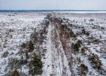 Pelkes saugokime visi kartu | am.lrv.lt nuotr.