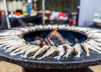 Stintų šventė | palanga.lt nuotr.