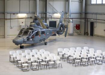 Staigtasparnių angaras | KAM, K. Kavolėlio nuotr.