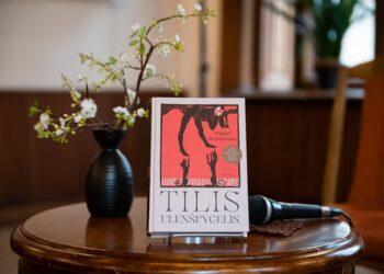 Dar savaitę galima teikti paraiškas Knygos meno ir „Metų vertėjo krėslo“ apdovanojimų varžytuvėms | G. Grigėnaitės nuotr.