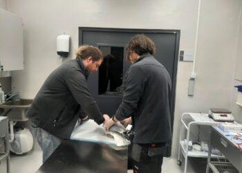 Laukinių gyvūnų globa | am.lt nuotr.