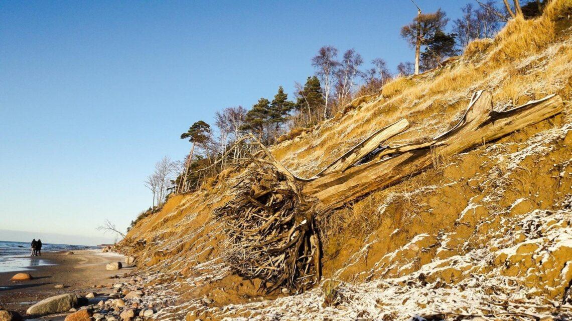 „Olando kepurė“ žiemą | E. Paplauskio nuotr.