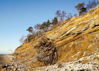„Olando kepurė“ žiemą | E. Paplauskio nuotr.