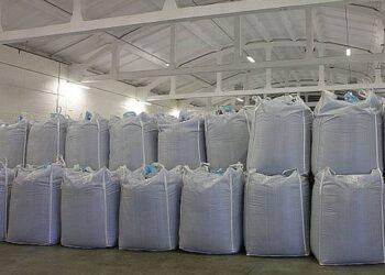 Dumblo kompostavimas | am.lrv.lt nuotr.