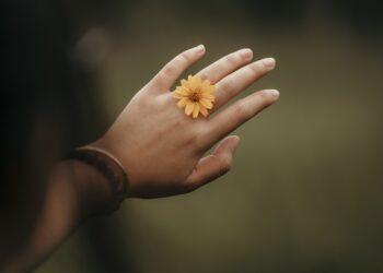 Ranka | pixabay.com, TiênSinh nuotr.