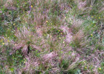 Išrinkta 2024 metų buveinė, į kurią norima atkreipti visuomenės dėmesį | vstt.lrv.lt nuotr.