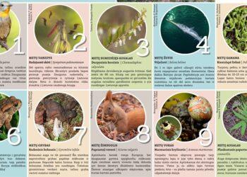 Išrinktas Lietuvos 2024 metų rūšių dešimtukas | vstt.lrv.lt nuotr.