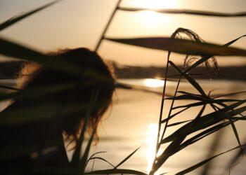 Dubingiuose – laumių maudynės | L. Žaltauskaitės nuotr.