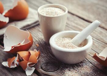 Kiaušinių lukštai | rimibaltic.com nuotr.