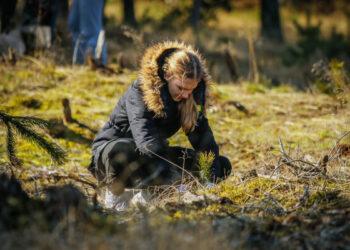 Miškasodis | neringa.lt nuotr.