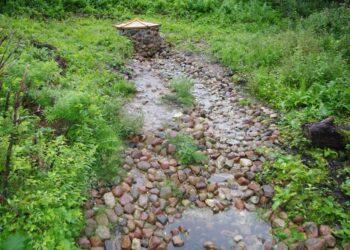 Tirdami šaltinius, daug sužinome apie požeminį vandenį | am.lrv.lt nuotr.