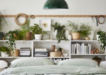 Augalai namuose | IKEA nuotr.