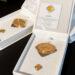 Metų Mokytojo apdovanojimas | smsm.lt nuotr.