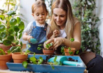 Sodinukai | iki.lt nuotr.