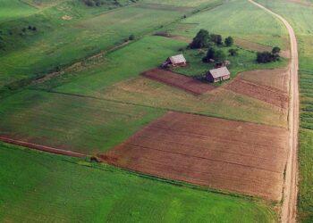 Seimas įteisino galimybę laikinai naudotis laisva valstybine žeme | nzt.lrv.lt nuotr.