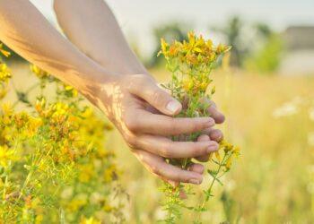 Jonažolė | headline.lt nuotr.