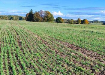Ūkininkai ir mokslininkai sutaria: bearimės žemdirbystės nauda akivaizdi, tačiau reikalingos žinios | klimatokaita.lt nuotr.